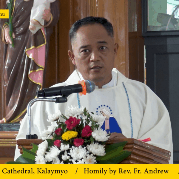 Vailankanni Cidamna Tonu Novena Ni (9) na. (7.9.2025) Sunday