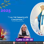 IMMACULATE CONCEPTION OF TEH BLESSED VIRGIN MARY
