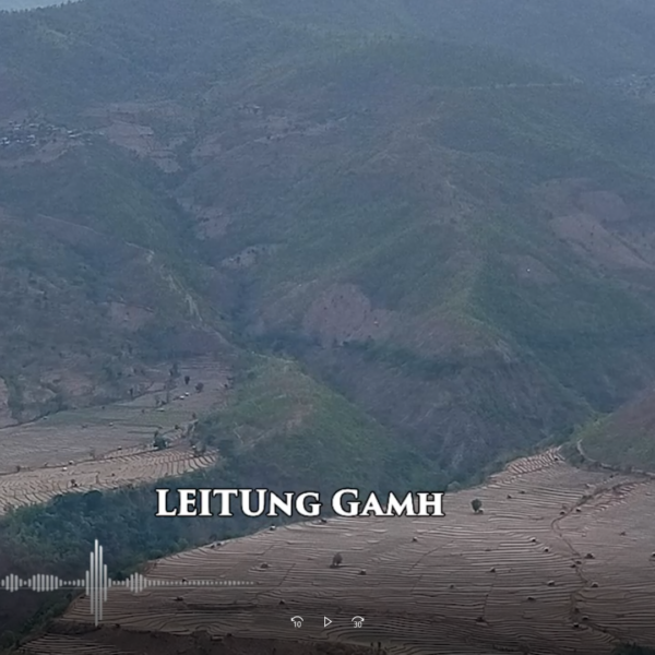 LEITUNG GAMH