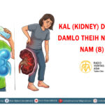 KAL (KIDNEY) DAM LE DAMLO THEIH NADING NAM (8)