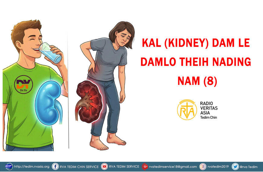 KAL (KIDNEY) DAM LE DAMLO THEIH NADING NAM (8)